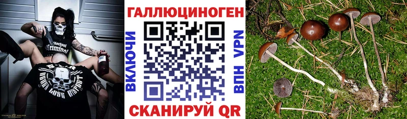 OMG ССЫЛКА  Гурьевск  Галлюциногенные грибы мицелий 